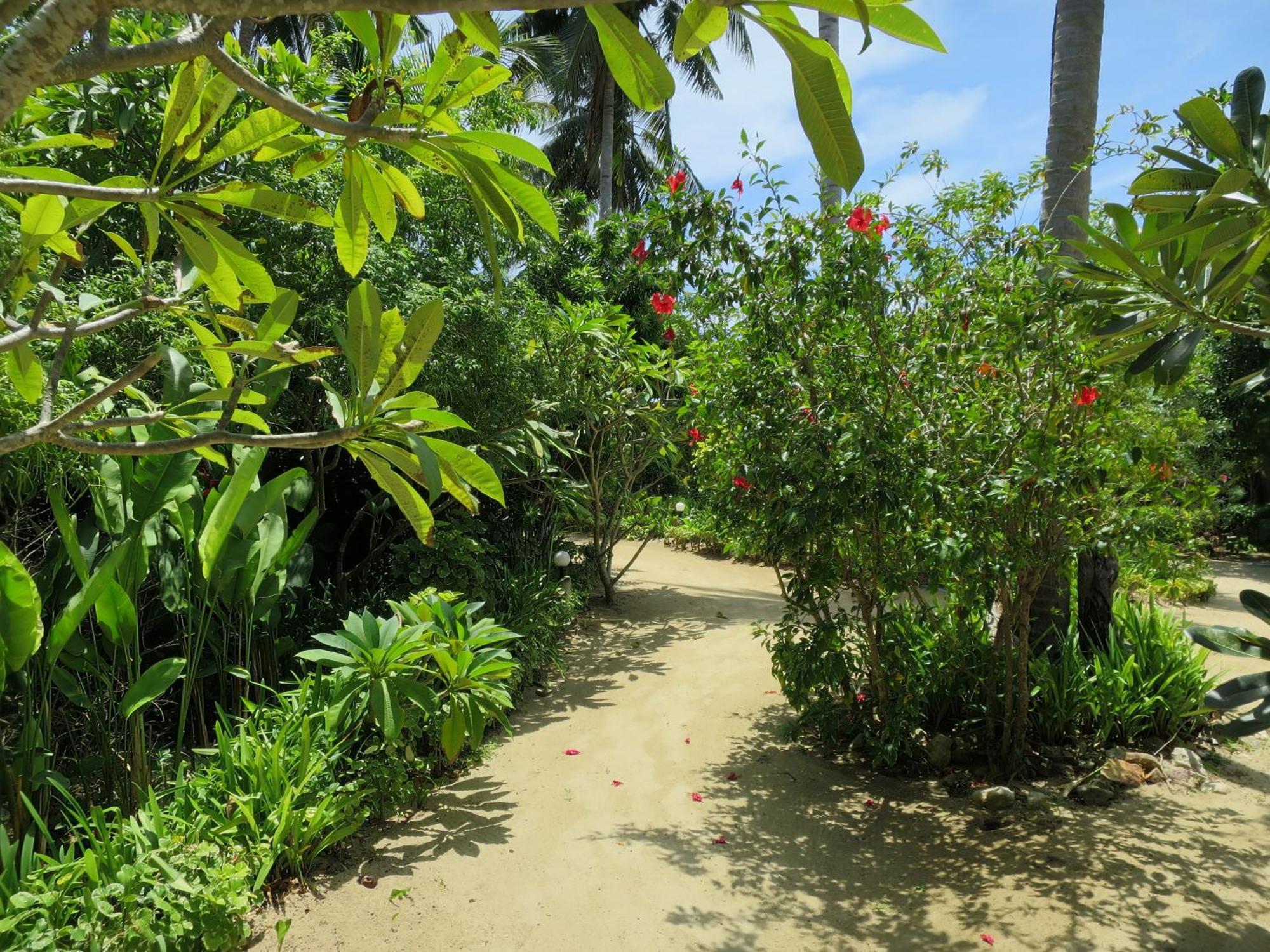 Seaflower Bungalows Srithanu Cameră foto